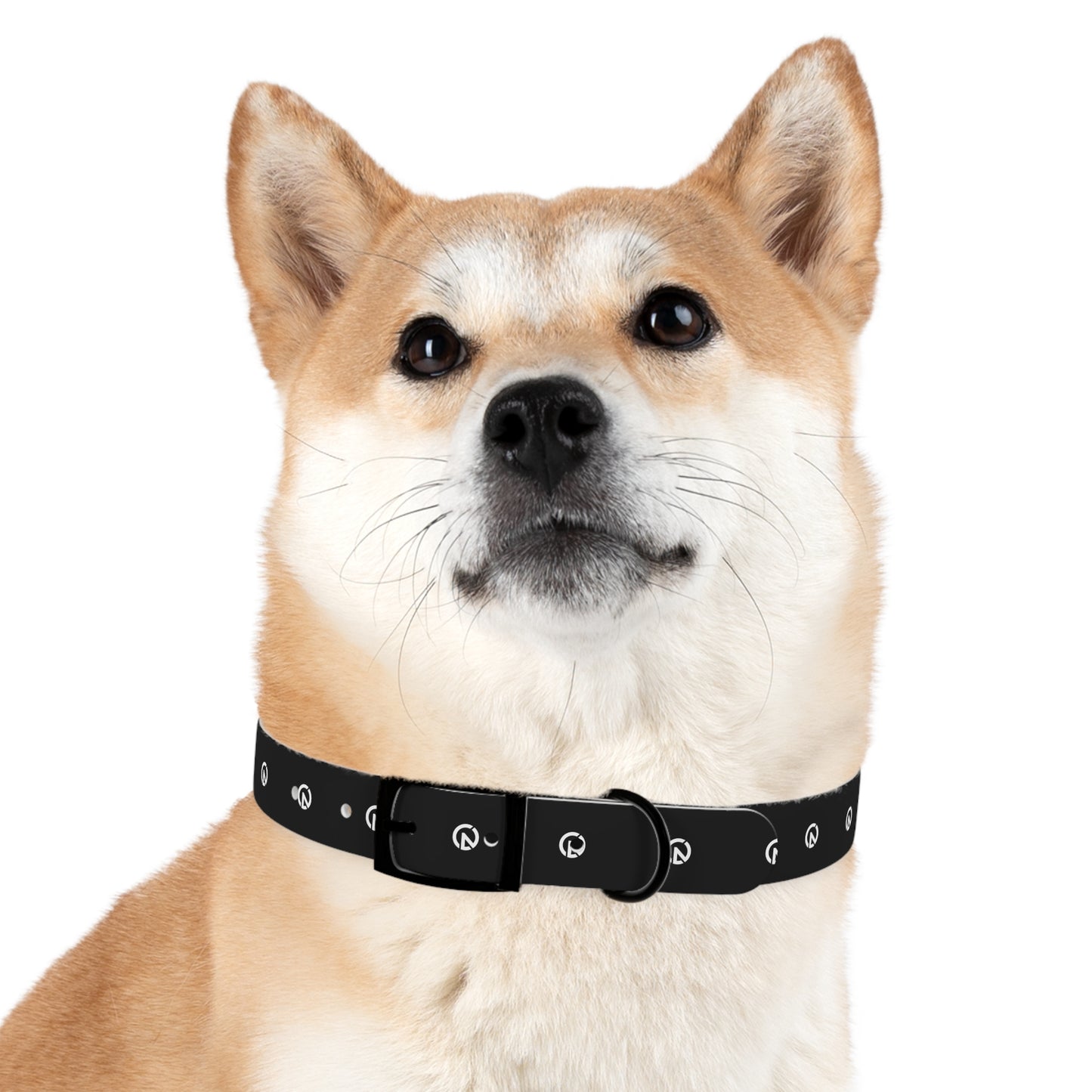 Dog Collar